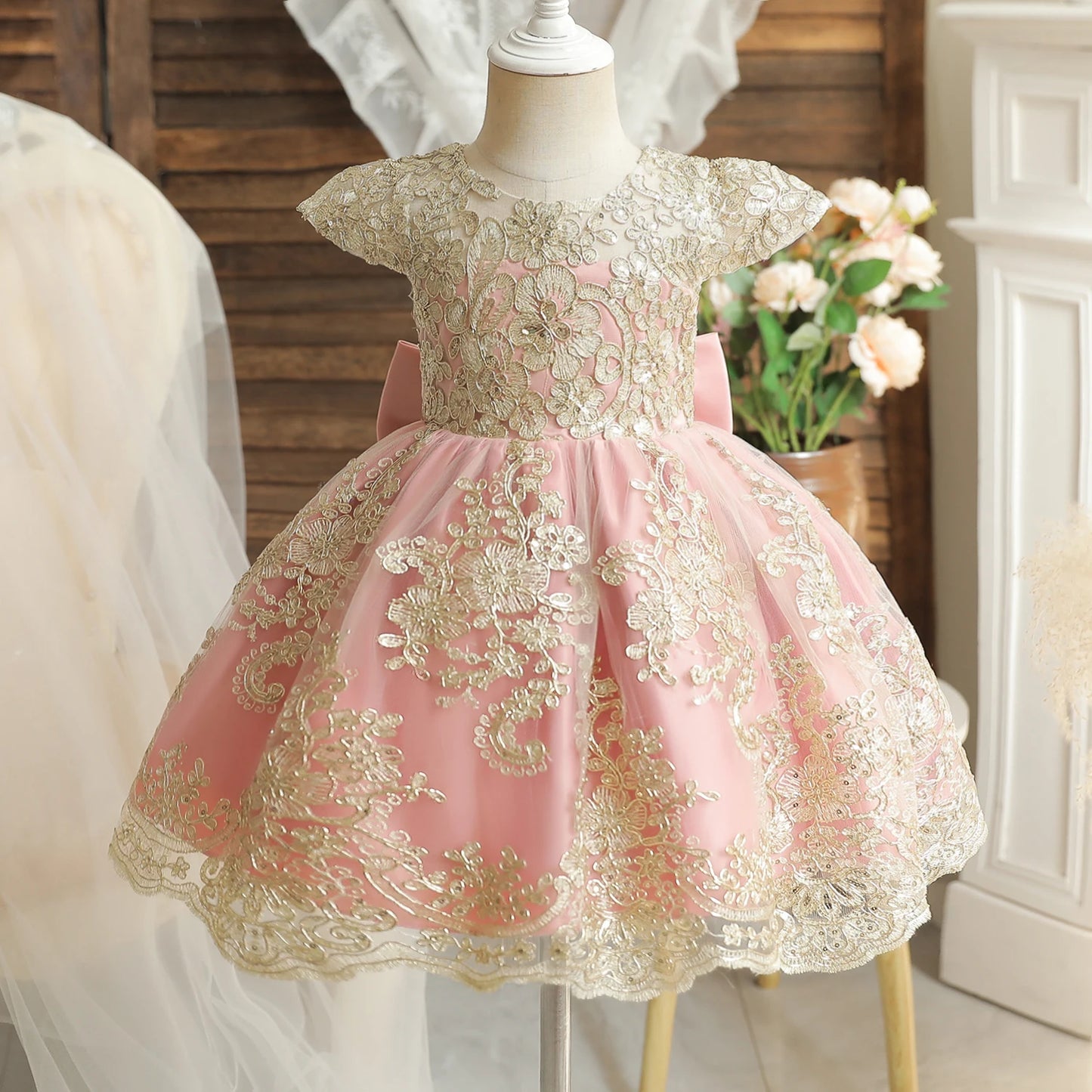 TaraStore🅣🅢 Baby Red Pricess Gowns